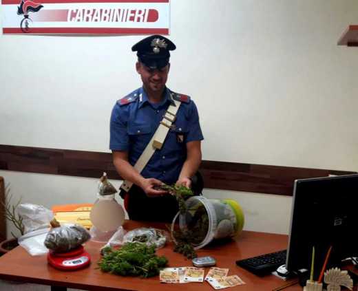 Santa Maria la Carità: arrestati in 4 per detenzione di marijuana a fini di spaccio