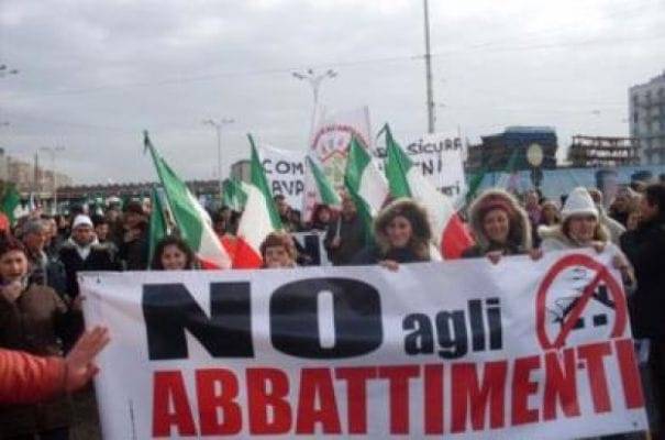 abbattimenti