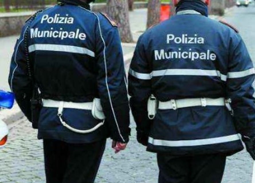 vigili