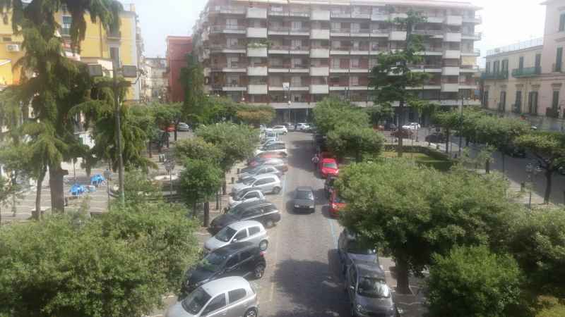 alberi piazza municipio san giorgio