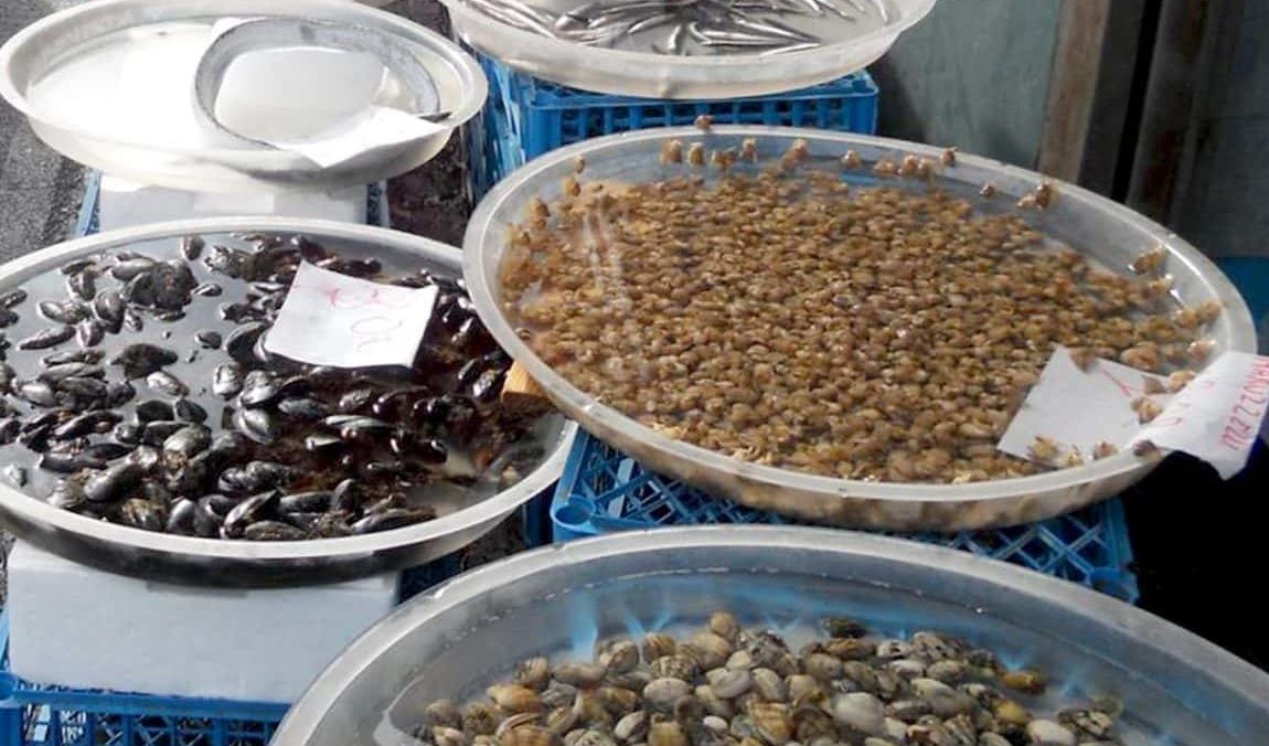 SEQUESTRO PRODOTTI ITTICI TDG