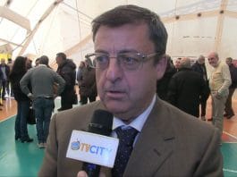 giovanni palomba tvcity