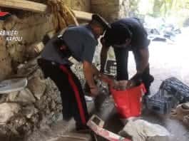 droga e armi gragnano