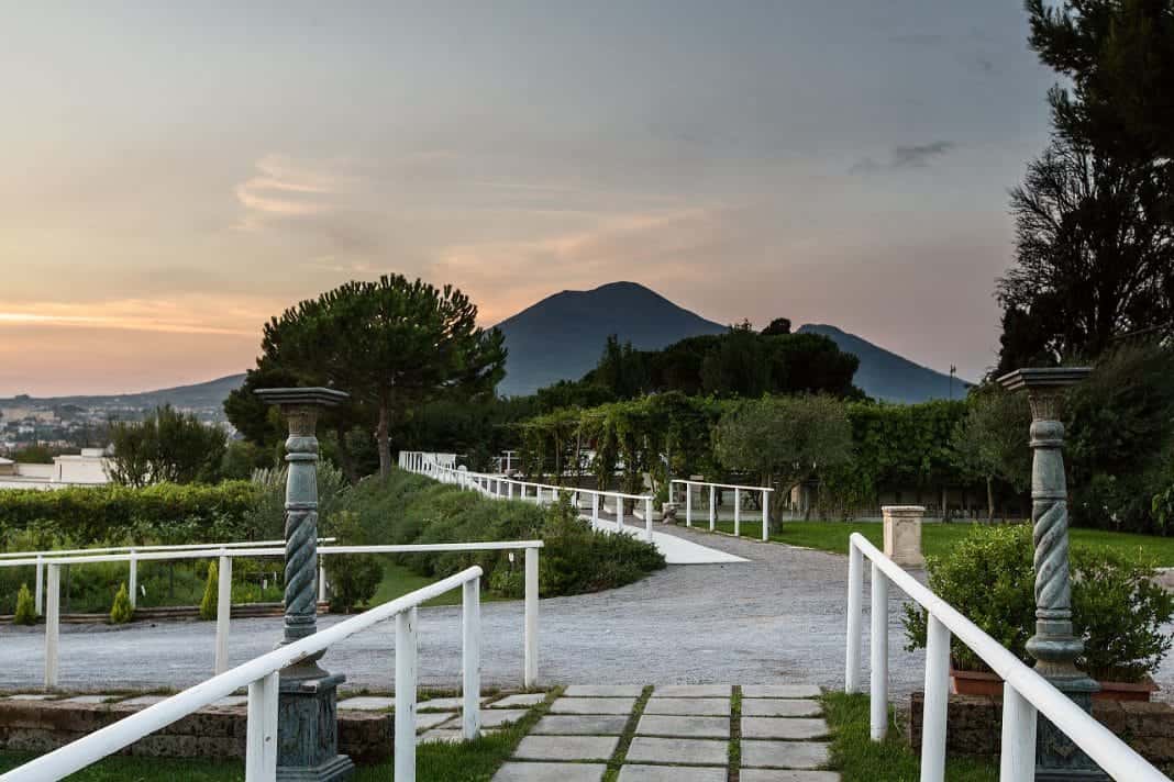vigneto e panoramiche (6)