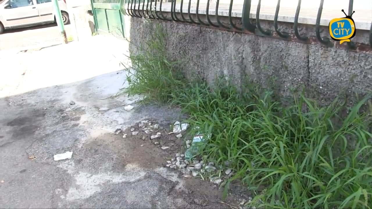 Torre del Greco, attività di deblattizzazione e diserbo delle strade cittadine. Priorità alle scuole