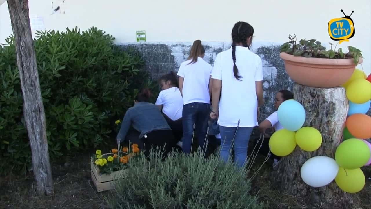 Inizia l’anno scolastico, dalla Regione un albero per ogni istituto. Impegno sui temi ambientali