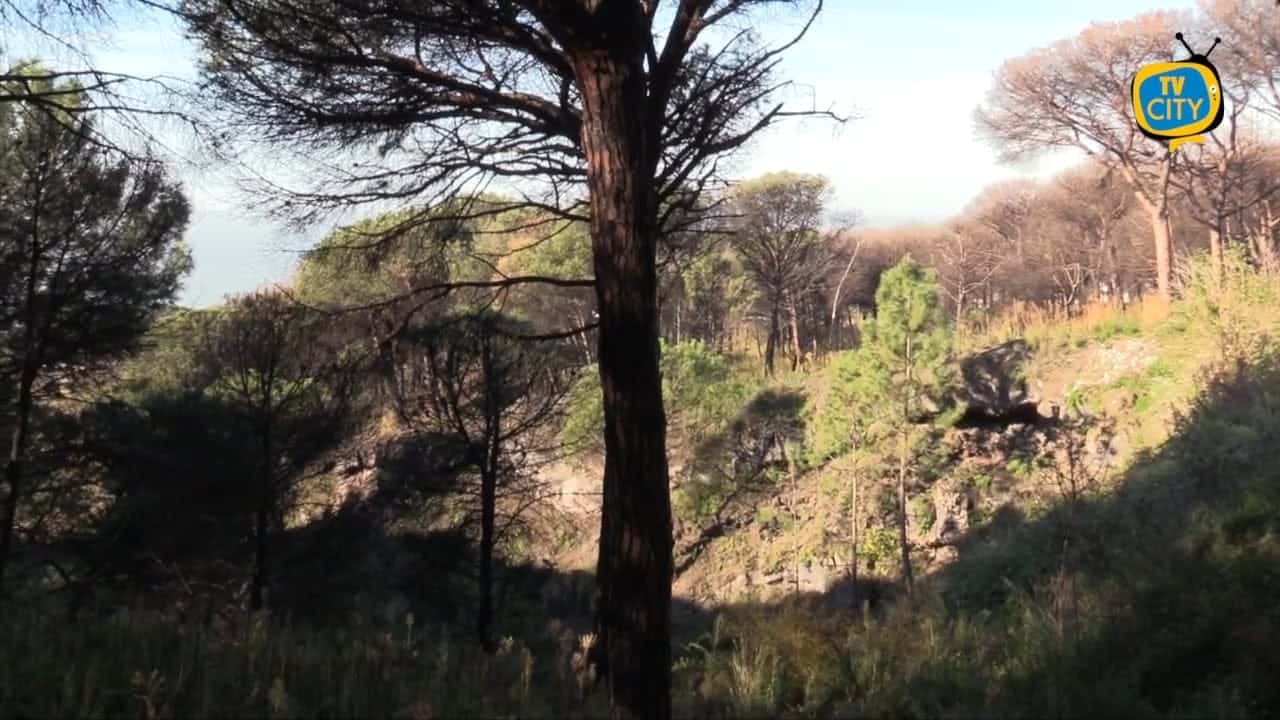 Il Vesuvio tra itinerari naturalistici e fotografici. Due week end dedicati ad arte e natura