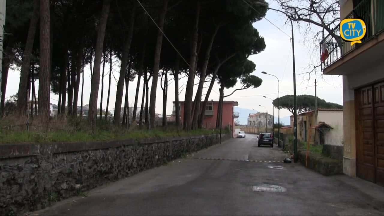 Alberi a rischio cedimento a seguito degli incendi, arriva l’ordinanza del sindaco