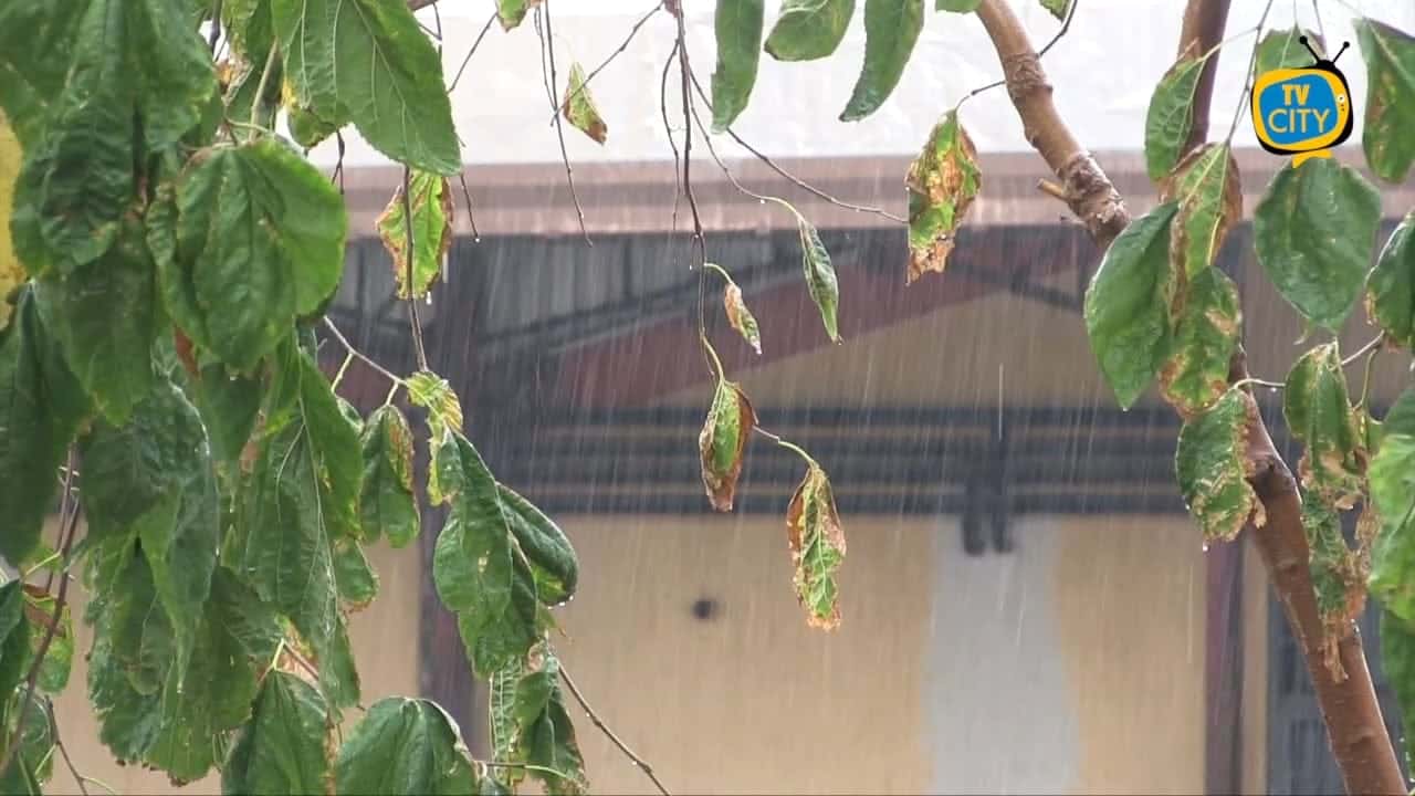 Protezione Civile Regione Campania, allerta meteo gialla dalle 14