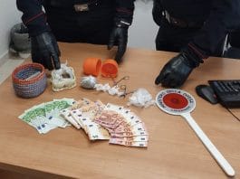 PALMA CAMPANIA marijuana