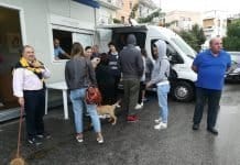 microchip cani torre del greco