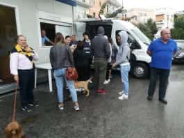 microchip cani torre del greco