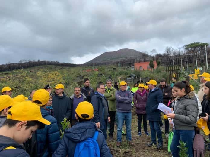 alberi vesuvio legambiente