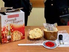 droga nel panettone procida