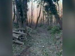 parco del vesuvio sentero 9