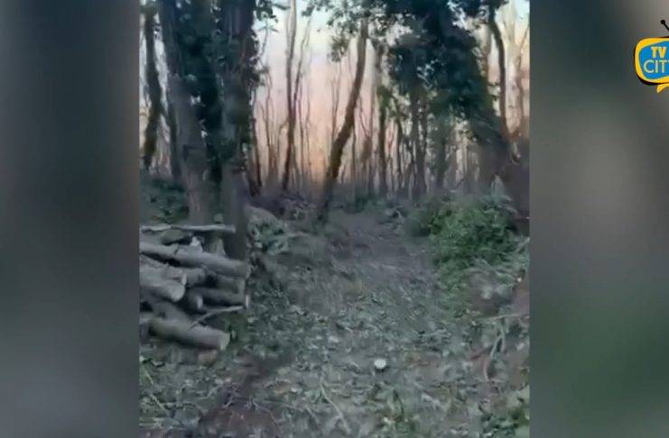 parco del vesuvio sentero 9