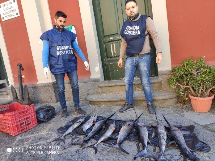 sequestro pesce spada