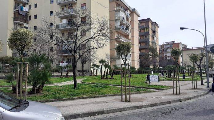 alberi via noschese san giorgio