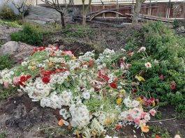 florovivaisti gaiaflorum