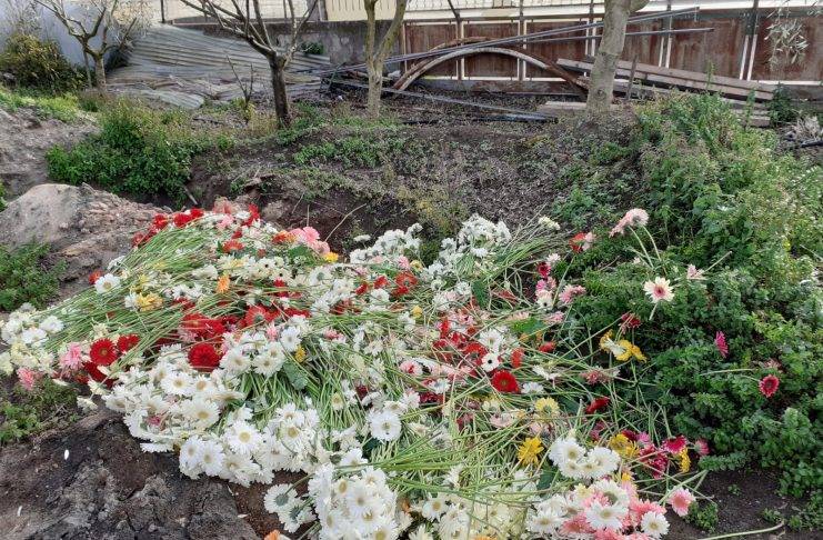 florovivaisti gaiaflorum