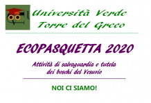 università verde