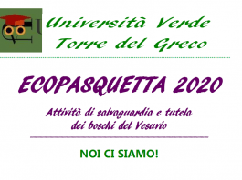 università verde