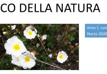 l'eco della natura