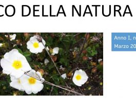 l'eco della natura