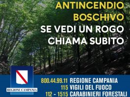 regione campania