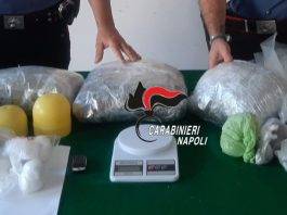 castellammare marijuana