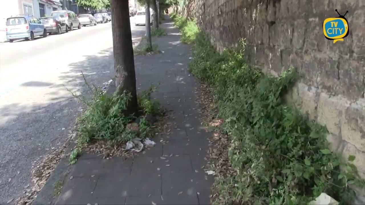 Torre del Greco, erba alta e strade sporche: Piano del comune per il rilancio del verde cittadino – VIDEO