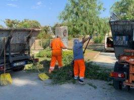 pulizia parchi pubblici