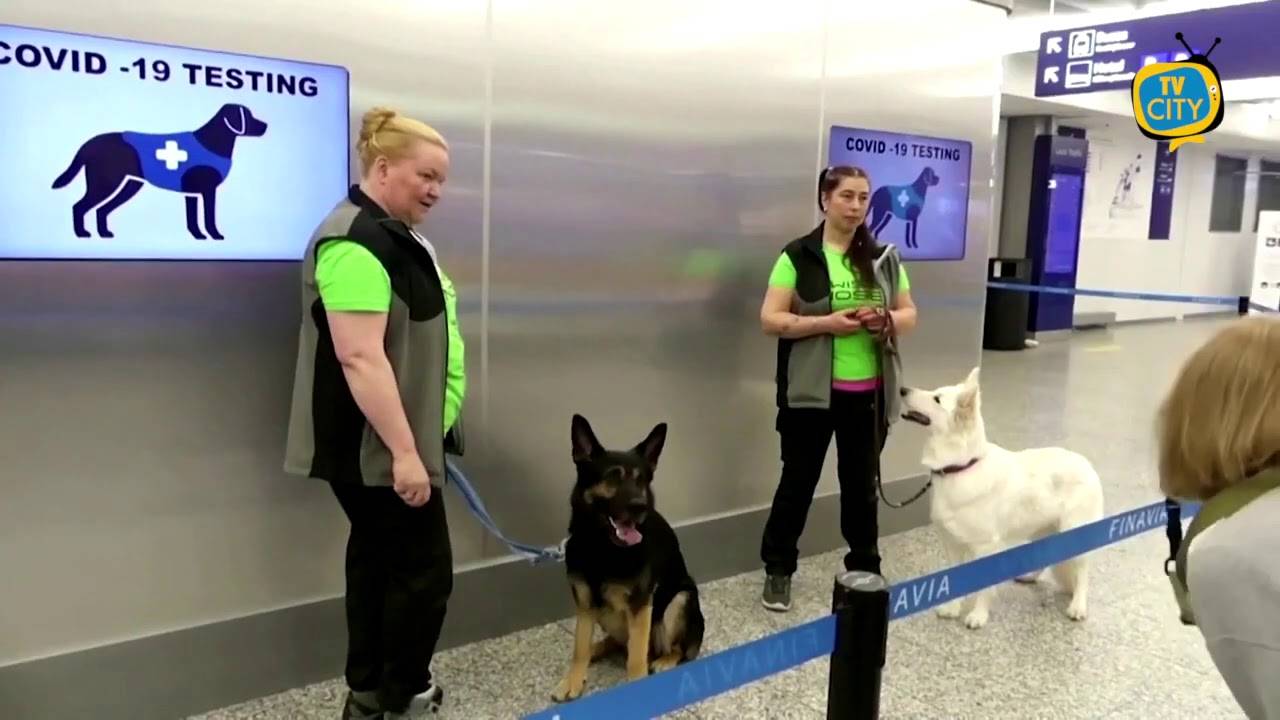 Covid-19 nel mondo: cresce preoccupazione. Oms con un tributo all’Italia