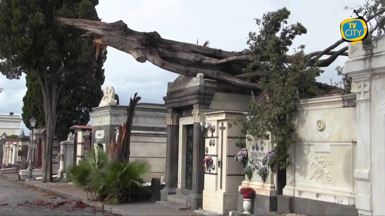Allerta meteo in Campania: cittadini evacuati e alberi abbattuti – VIDEO