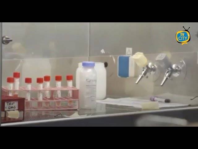 In aumento i casi di Covid-19 a Torre del Greco: il punto della situazione – VIDEO