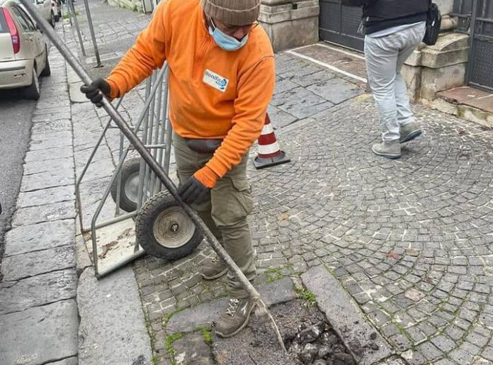 portici piantumazione