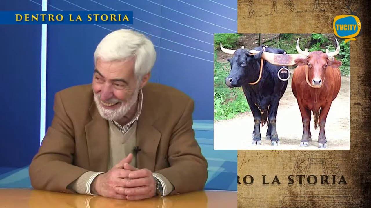 Dentro la storia – Le strade Romane – S02X01