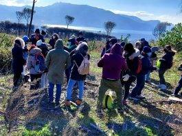 riseminiamo il gigante