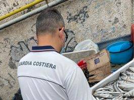 guardia costiera ercolano