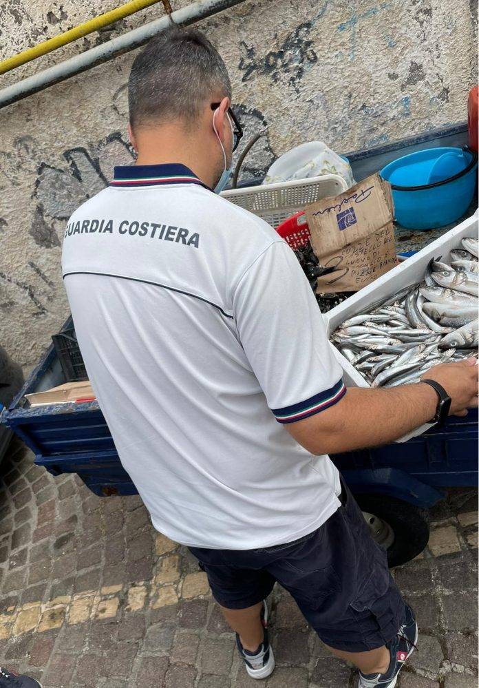 guardia costiera ercolano
