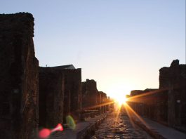 sogno di una notte di inizio estate (1)