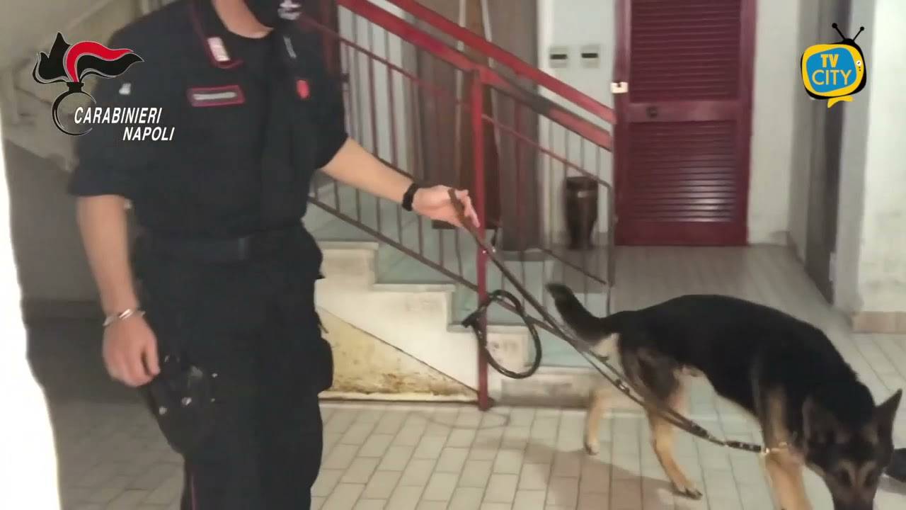 Spaccio a Torre Annunziata: 7 arresti in mattinata – VIDEO