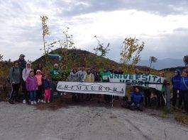 associazione primaurora