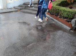 istituto giampietro romano