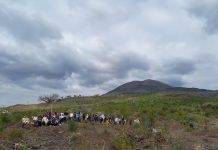 Associazione Primaurora: passeggiate sul Vesuvio, fra natura e poesia