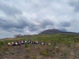 Associazione Primaurora: passeggiate sul Vesuvio, fra natura e poesia