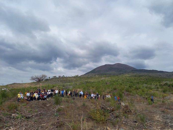 Associazione Primaurora: passeggiate sul Vesuvio, fra natura e poesia