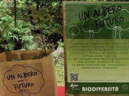 Giornata nazionale alberi