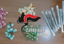 News Marigliano: operazione anti-droga. Arrestati due pusher