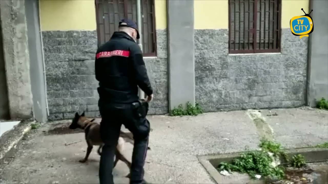 Arzano: Controlli a tappeto dei Carabinieri alla ricerca di armi e droga